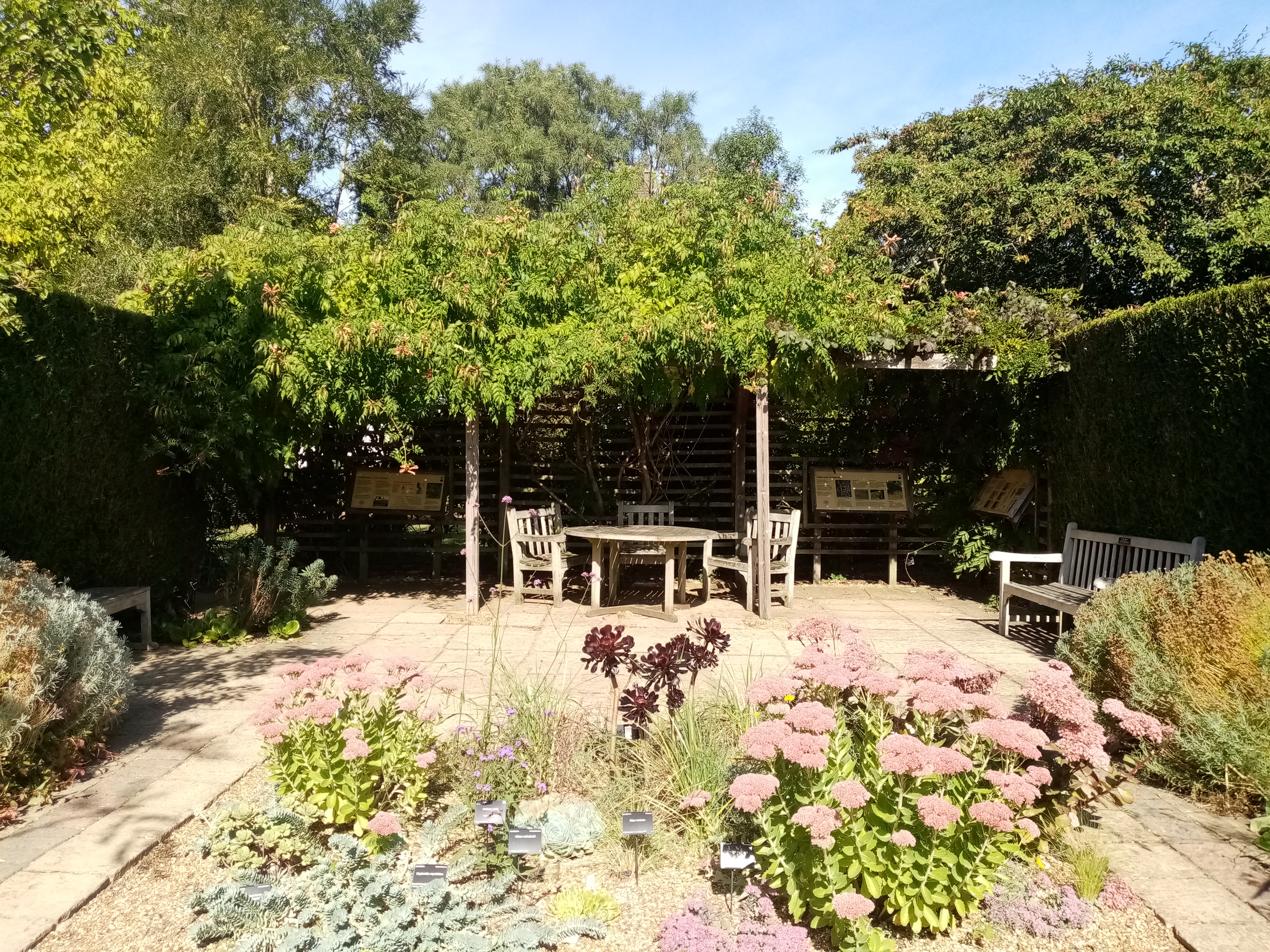 There is a bed of flowers, pink on the left and right and darker red/brown plants in the middle. There is a wooden bench on the right and a circular wooden table with 3 wooden chairs in the centre back. There is a hedge surrounding the Dry Garden.
